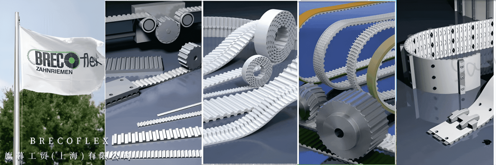 1660890528751913.png 未命名 (3).png