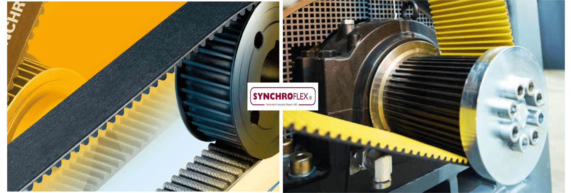 1669894118205597.png SYNCHROFLEX01.png