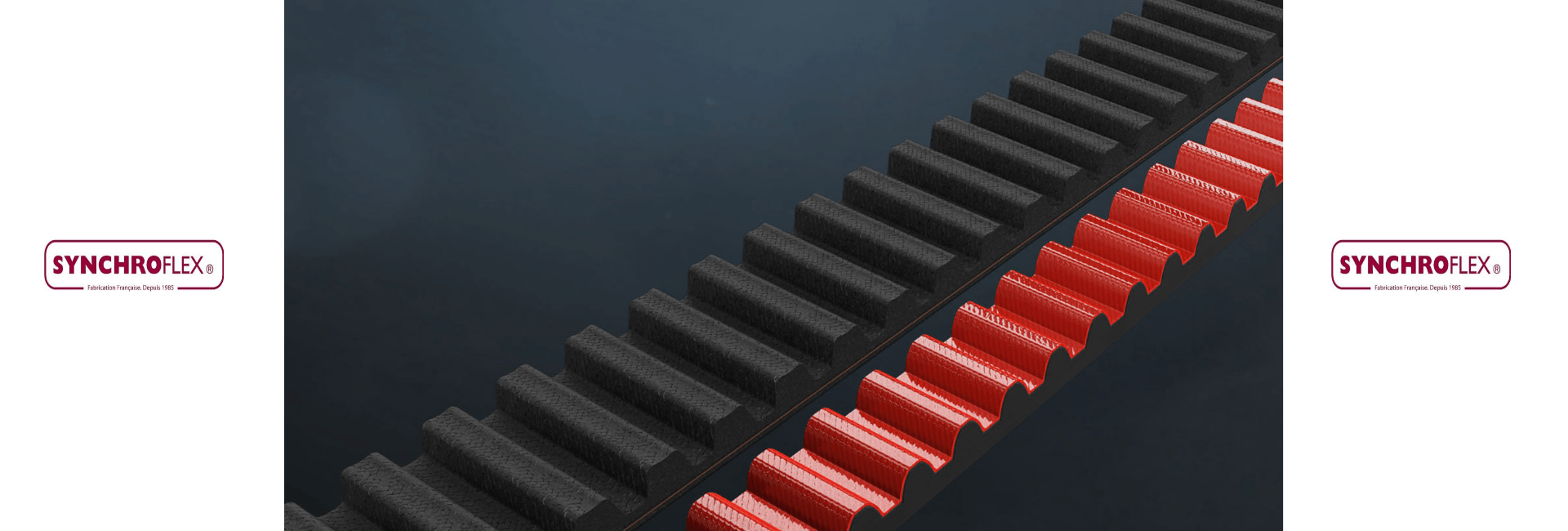 1677651725121395.png SYNCHROFLEX (3).png